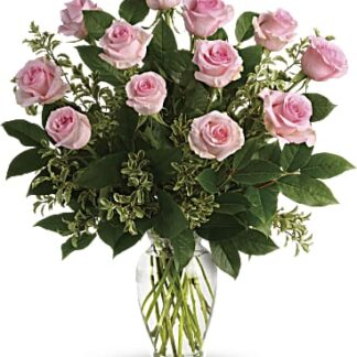 One Dozen Long Stem Premium Pink Roses