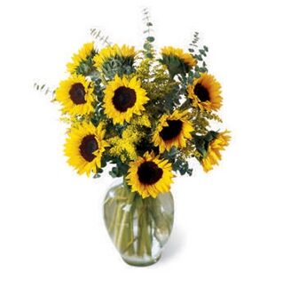 Endless Sunflowers