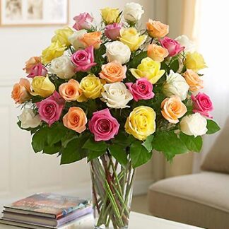 3 Dozen Premium Long Stem Assorted Roses