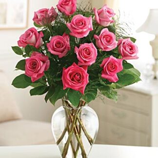 One Dozen Premium Long Stem Hot Pink Roses
