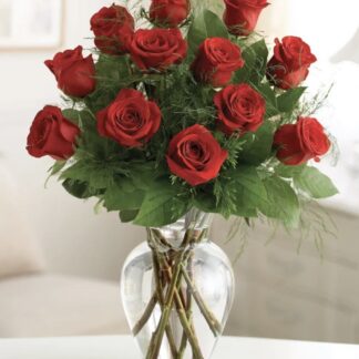 Rose Elegance Premium Long Stem One Dozen Red Roses