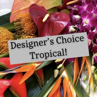 Tropical Arrangement Designers Choice